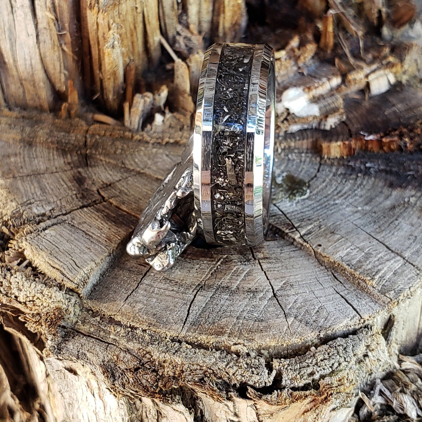 Iron Sky Ring - Gibeon Meteorite Inlay, Tungsten Titanium Ceramic, Men Women, Wedding Ring, His Hers Promise, Engagement Ring 8mm 6mm