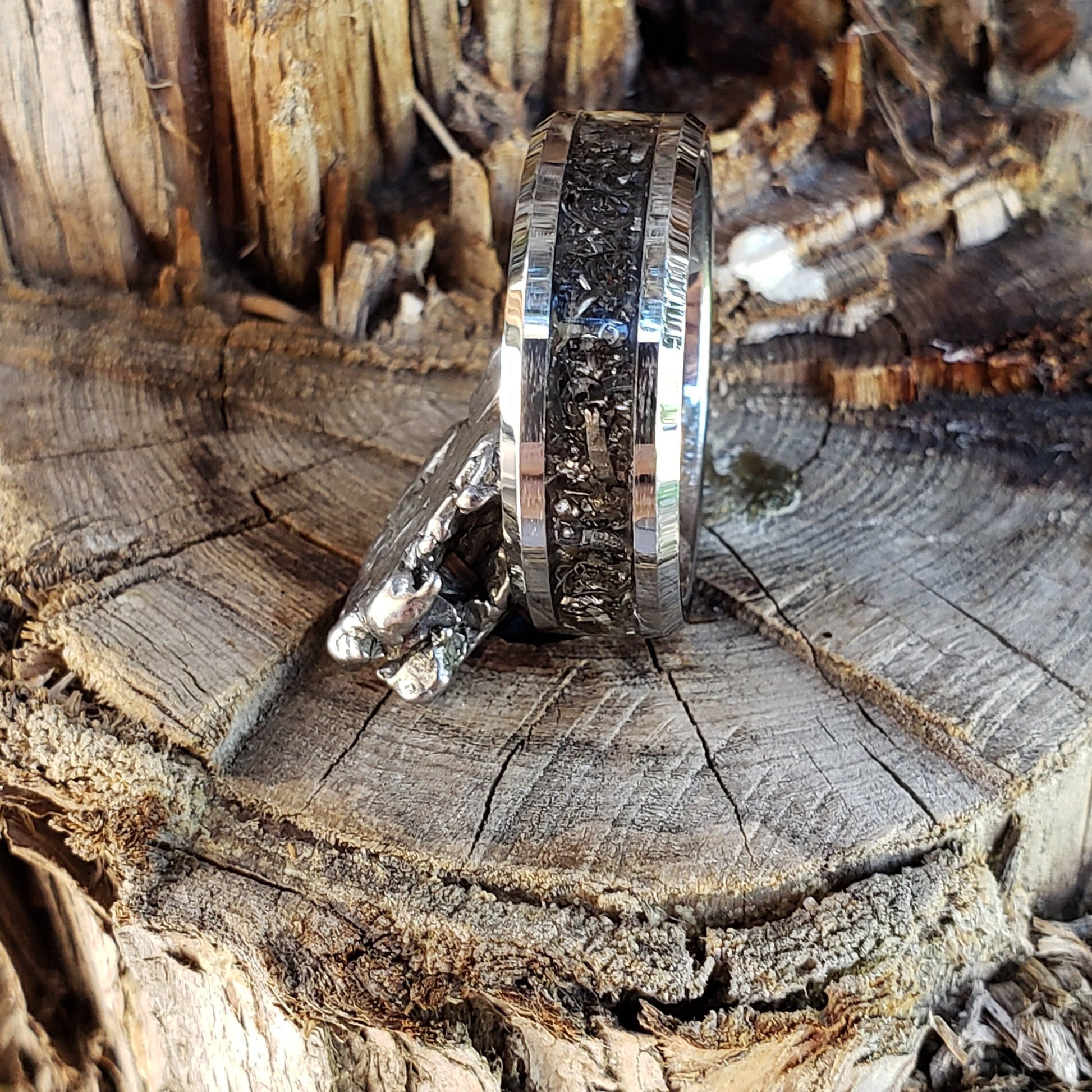 Iron Sky Ring - Gibeon Meteorite Inlay, Tungsten Titanium Ceramic, Men Women, Wedding Ring, His Hers Promise, Engagement Ring 8mm 6mm