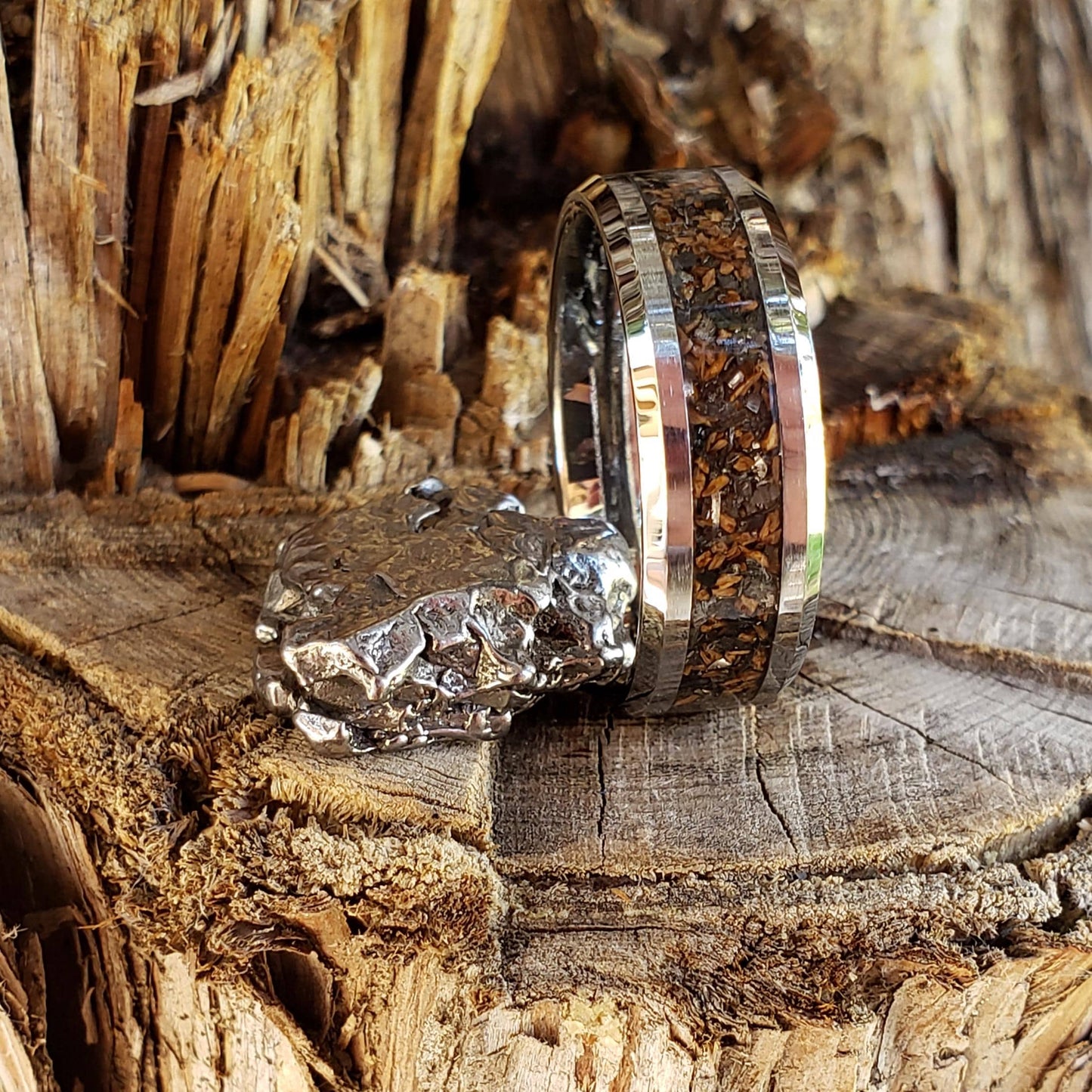 King Killer Ring - T-rex, Black Diamond, Meteorite, Tungsten Titanium Ceramic, Men Women, Wedding Ring, His Hers Promise, Engagement 8mm 6mm